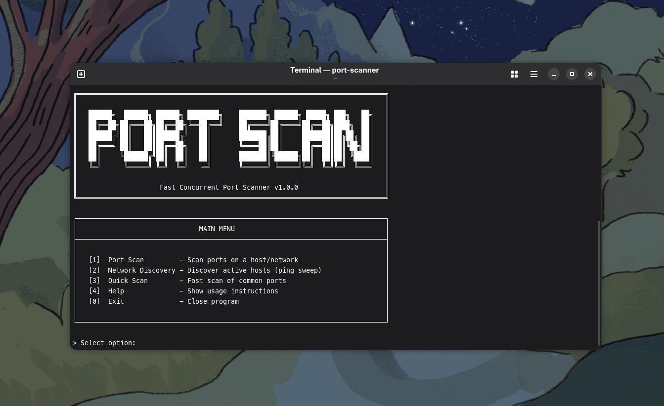 Port Scanner